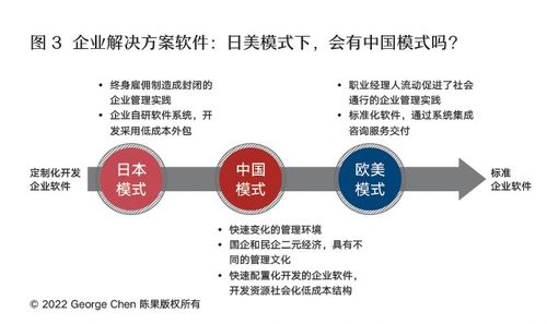中国模式 企业管理软件的突围、融合与超越
